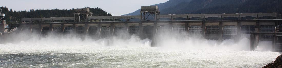 The dam