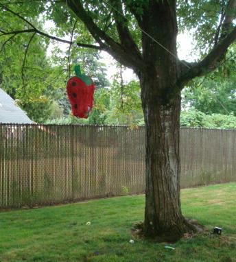 Pinata